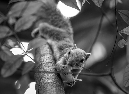 不限时间的小七手机号在线网页轰炸